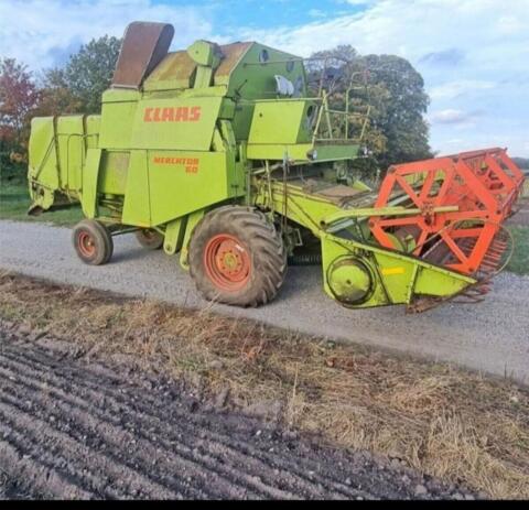 Schlachte Mercator 60