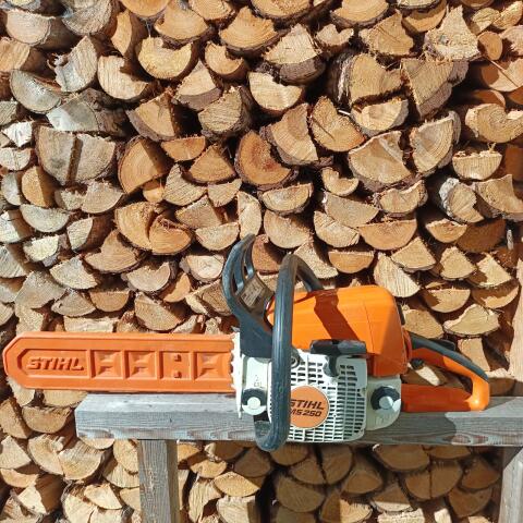 Stihl MS 250