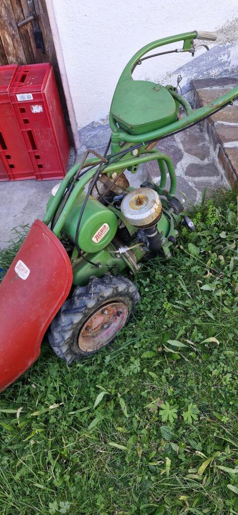 Agria