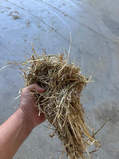 Wiesenheu zu verkaufen