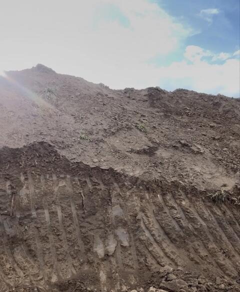Humus, steinfrei