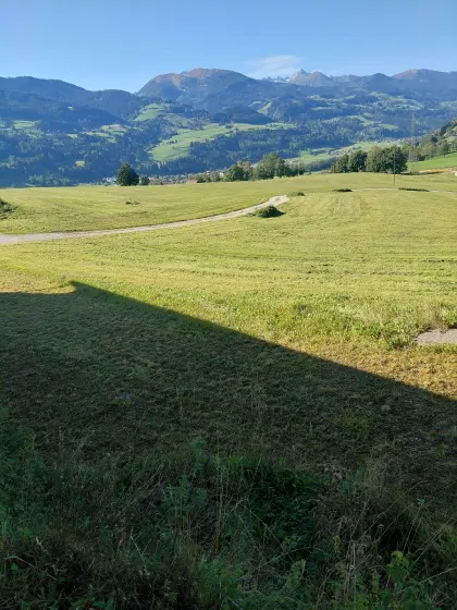 Pachtflächen