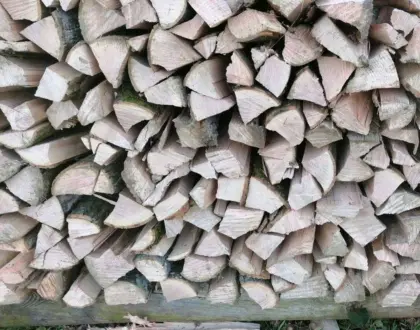 Brennholz, Hartholz, Kaminholz trocken