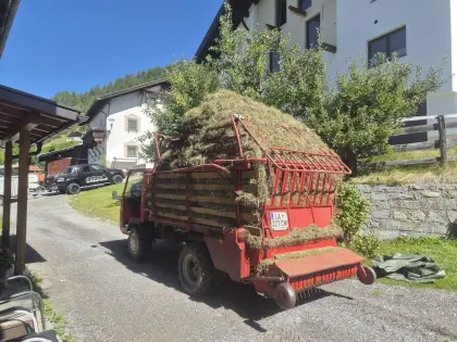 Muli 401