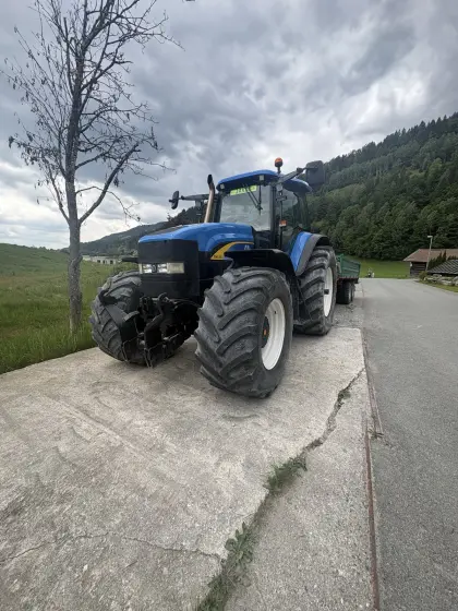 Tm 175