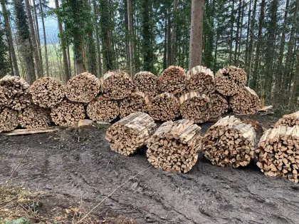 Brennholz