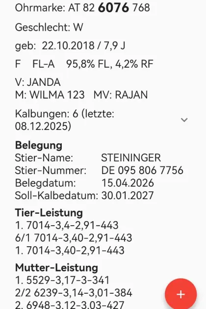 Bio-Fleckviehkuh
