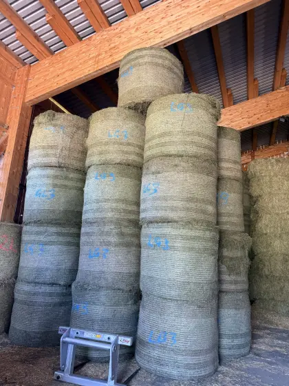 Heuballen belüftet, 2. und 3. Schnitt