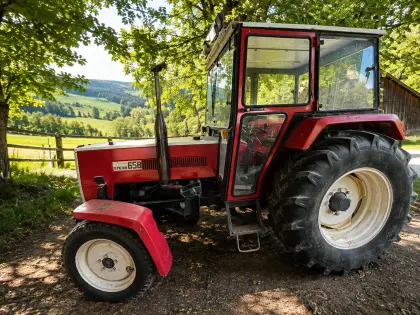Steyr 658, 55 PS, Bj. 77, in sehr gutem Zustand