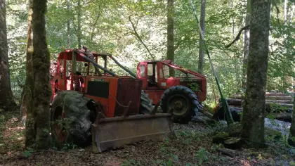 Timberjack 360