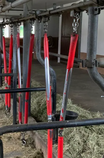 Halsrahmen für Felder Aufstallung