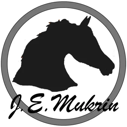 Reitbeteiligung