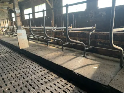 Stallmatten und Liegeboxenbügel