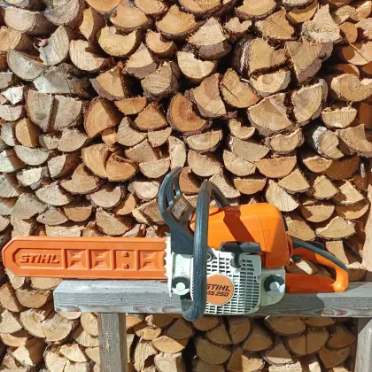 Stihl MS 250