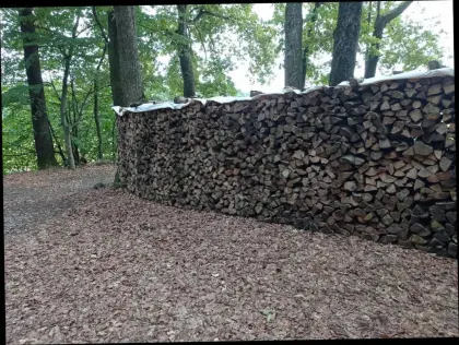 Brennholz