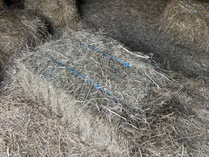 Verkaufe Heu, kleine Ballen, 1. Schnitt