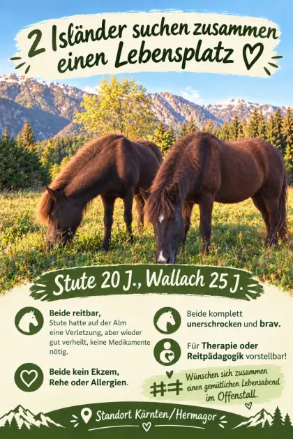 2 Isländer, nur zusammen