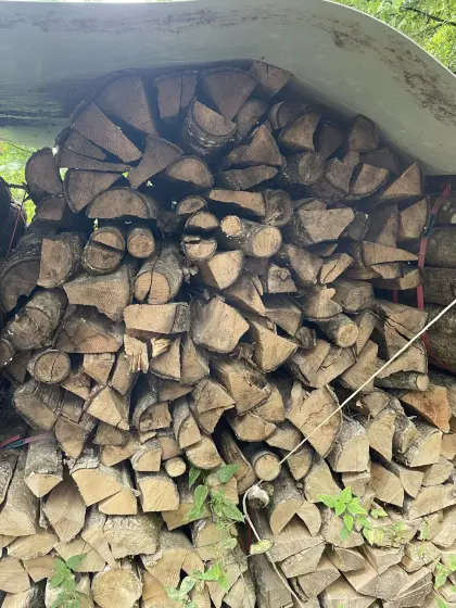 Brennholz, Holzbündel, trocken