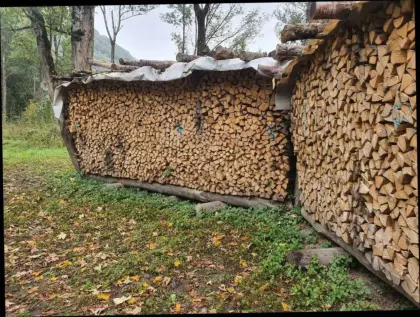 Brennholz