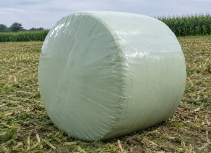 Maisballen, Silage, Futter, Rinder