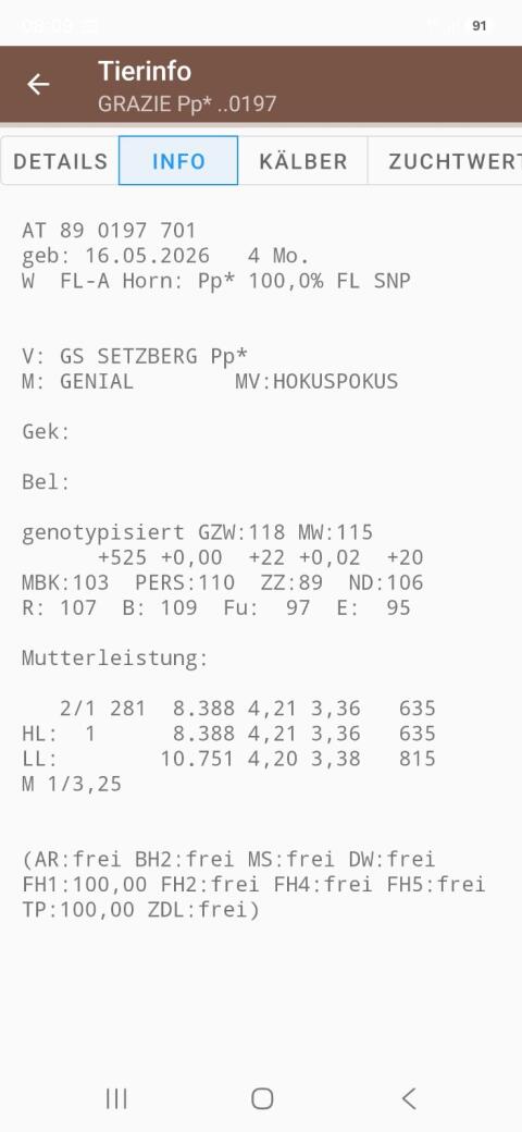 Genotypisiertes FV-Kalb