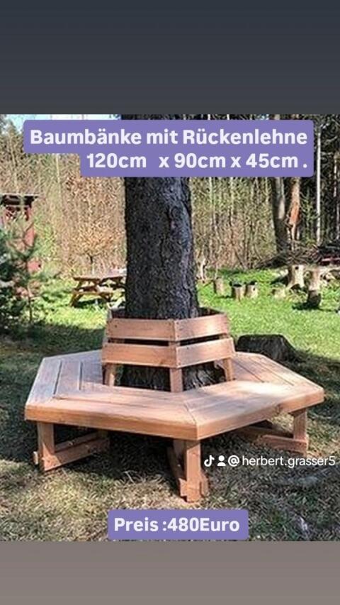 Baumbänke-Bau mit Lehne