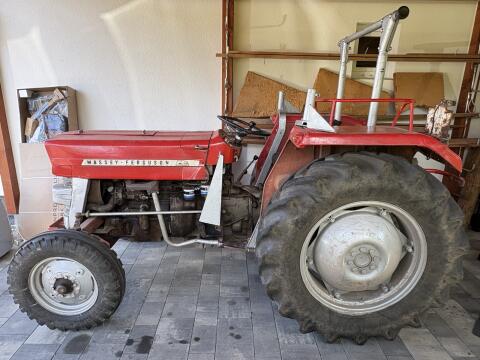 Massey Ferguson MF 135 Oldtimer-Traktor, 1969
