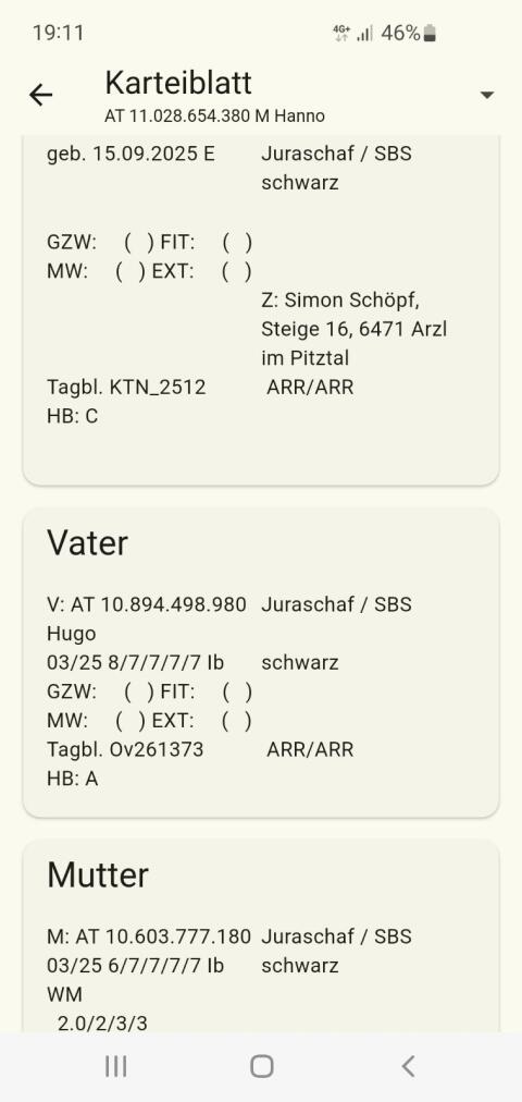 Jurawidder