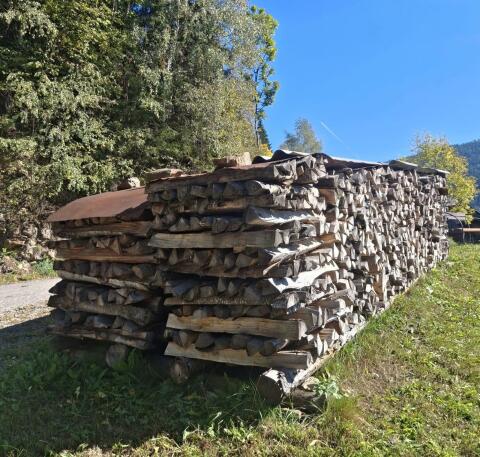 Brennholz