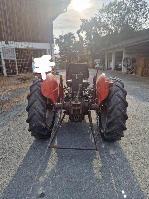 Verkaufe MF 35X Massey Ferguson 35X
