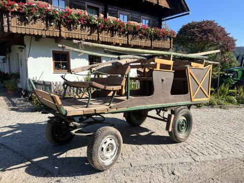 Pferdekutsche