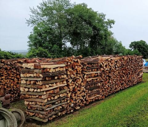 Brennholz Eiche, Kastanie, Akazie, Buche, Kiefer, Fichte