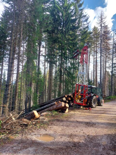 Seilkran Koller K300 mit Laufwagen SKA1Z