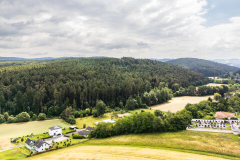 Forstgut „Auf der Schleinz“ 35 ha