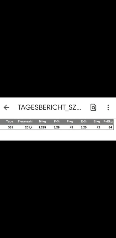 Zuchtböcke und weibliche Kitze