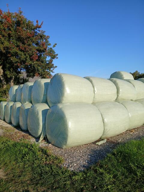 Silageballen