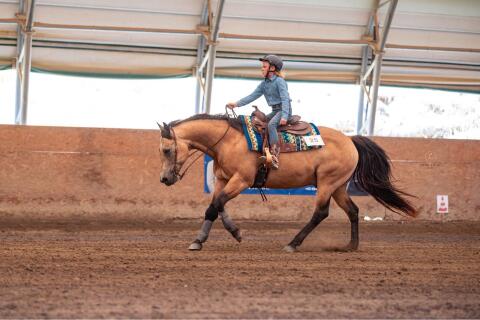 Quarter Horse Wallach Smart Major Fritz