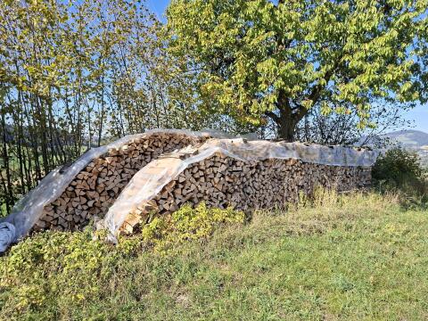 Brennholz Buche
