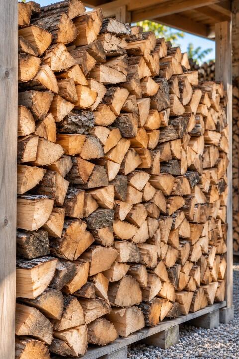 Brennholz