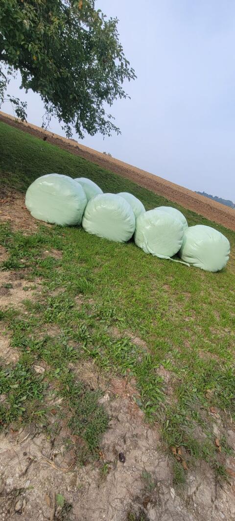 Silageballen