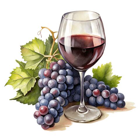 Rotwein in 1 l Flaschen