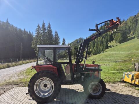 Massey Ferguson 254 mit Frontlader