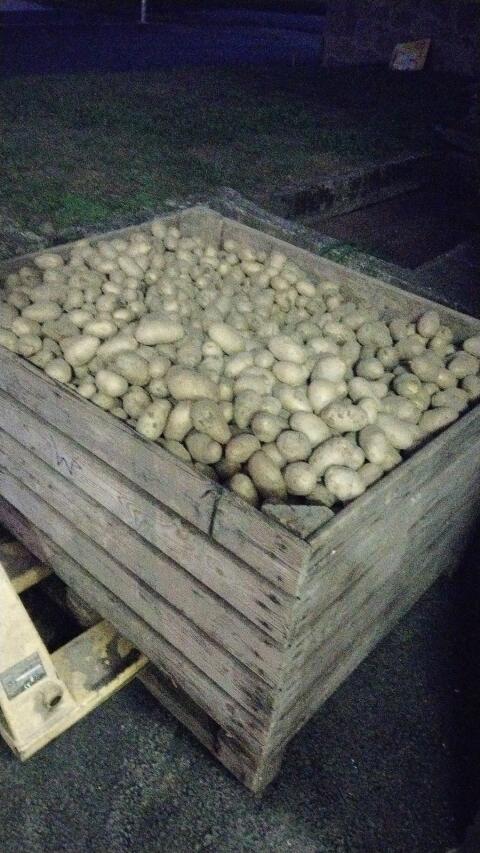 Kartoffeln abzugeben, Tausch