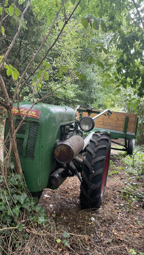 Einachsschlepper Holder E 12