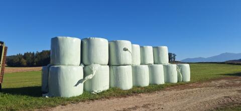 Silageballen, 3. Schnitt