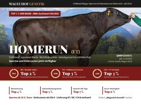 Wagyuhof Genetik, Wagyu Sperma und Embryonen, HOMERUN, Top 2 %