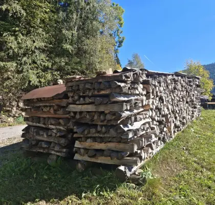 Brennholz