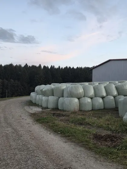 Silageballen 1.-4. Schnitt 2026