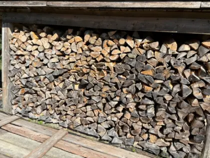 Brennholz