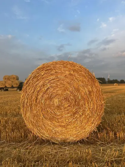 Stroh Gerste, Weizen, Hafer Rundballen